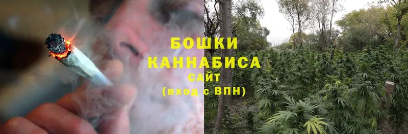 даркнет клад  купить наркотики сайты  гидра ТОР  Яровое  Конопля Ganja 